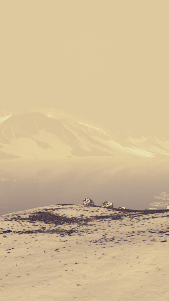 눈 인 산 의 풍경