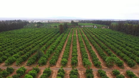 Mundo-De-La-Vida-Campesina-A-Través-De-Impresionantes-Imágenes-De-Drones-De-Viajes,-Que-Capturan-La-Belleza-Rústica-De-Los-Paisajes-Rurales,-La-Naturaleza-Tradicional