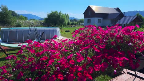 A Beautiful Summer Day in a Serene Backyard Oasis Surrounded by Vibrant Flowers and a Swimming Pool Under the Clear Blue Sky and Majestic Mountains