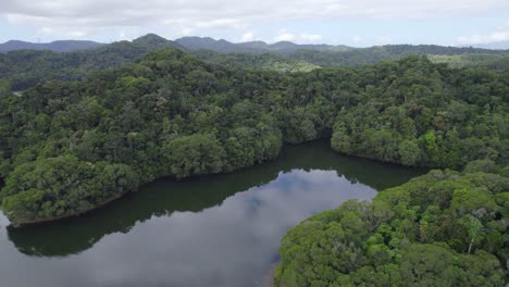 Copperlode-Dam-Surrounded-With-Lush-Tropical-Vegetation-In-Cairns,-North-Queensland,-Australia---aerial-drone-shot