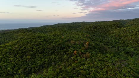 Drohnenaufnahmen-Des-Dschungels-Von-Siquijor-Auf-Den-Philippinen-Im-Morgengrauen