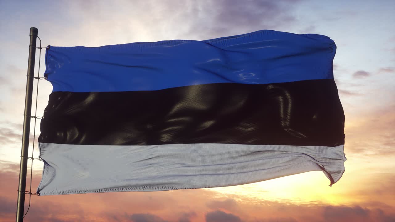 Flag of Estonia waving in the wind against deep beautiful sky at sunset