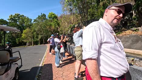 tourists capturing wildlife moments in chonburi, thailand