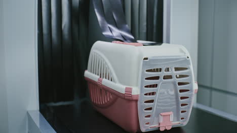 pet carrier security check at airport