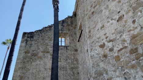 edificio viejo de 1800 y palmeras bajan del cielo al suelo