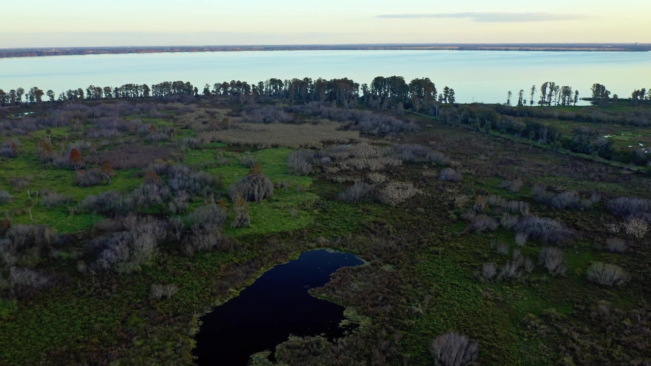 La luce del mattino rivela il Lago Hancock delimitato da lussureggianti zone umide e alberi sparsi. Ideale per documentari sulla natura o progetti di conservazione.