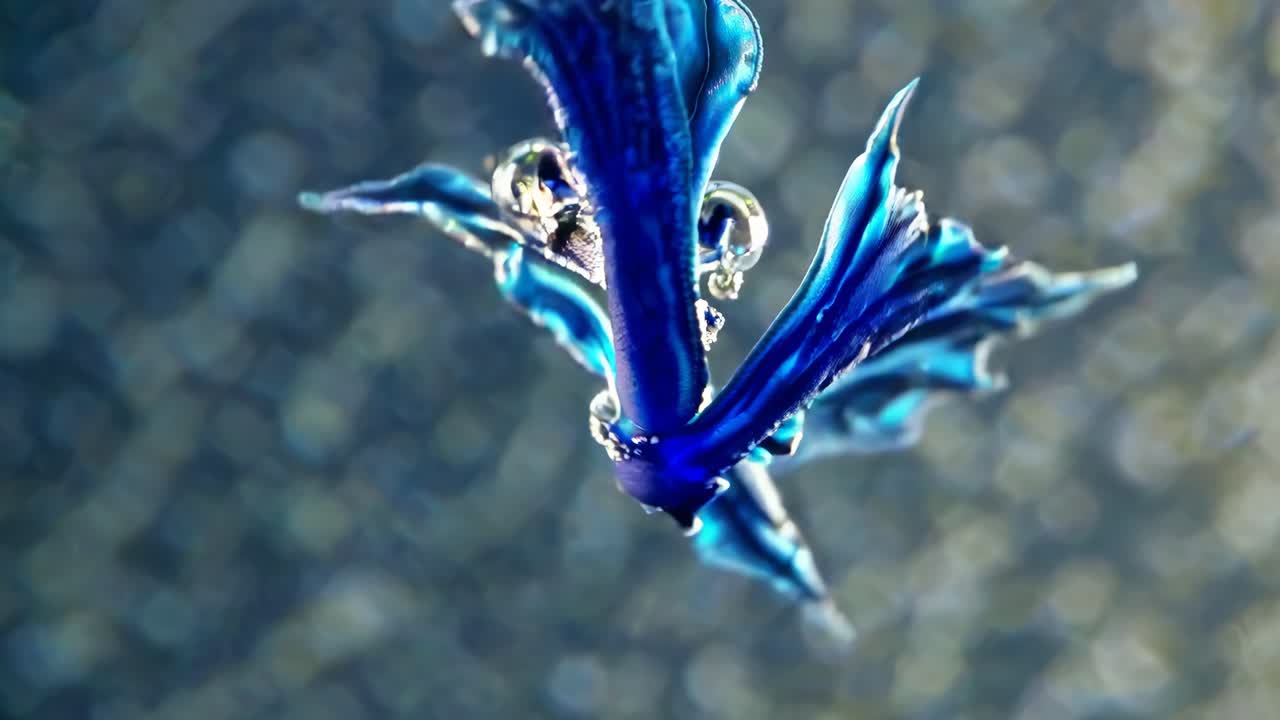 추상적인 파란 액체 형태