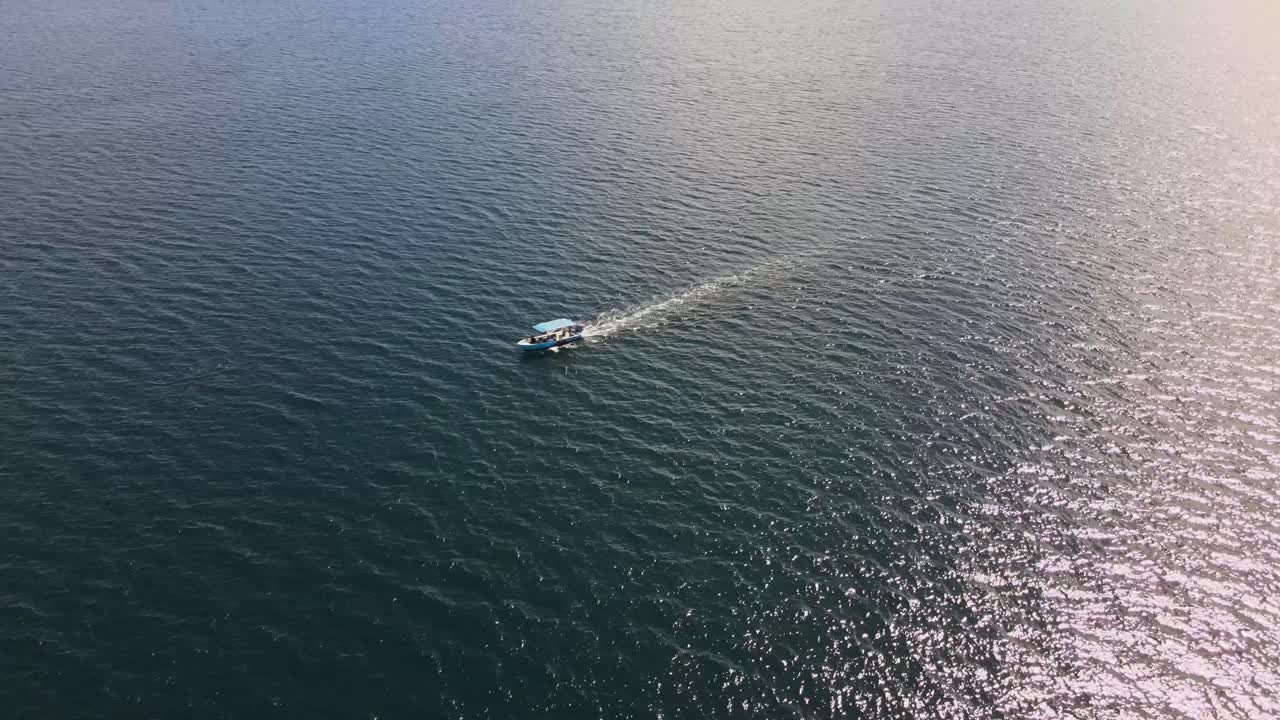 바다에서 보고 있는 어선 돌고래의 공중 영상