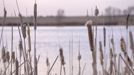 video of the snake river in eastern idaho near massacre rocks