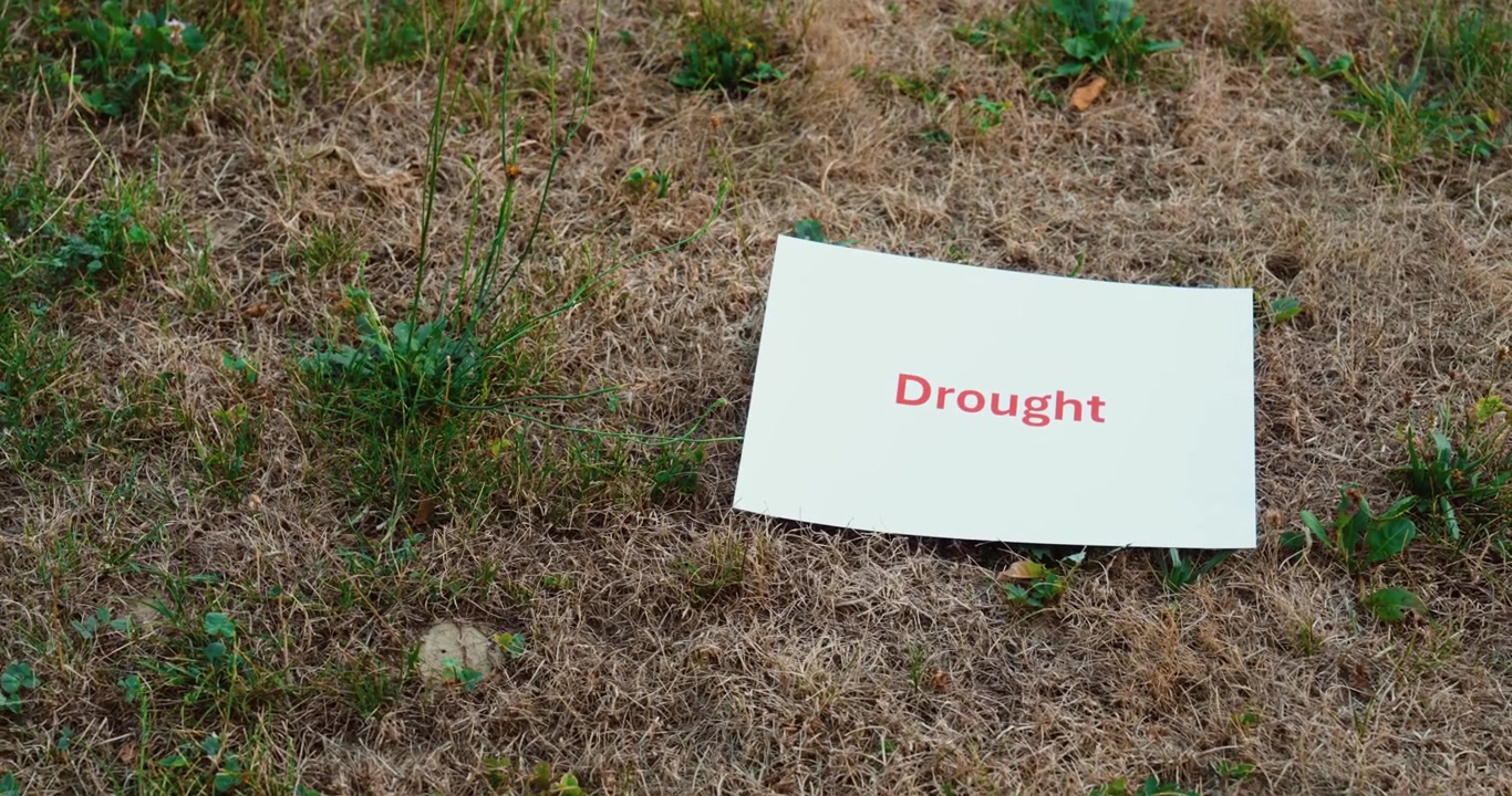 Camera panning across dry, withered grass before revealing a drought sign. Ideal for drought, climate change, water scarcity, and environmental concepts.