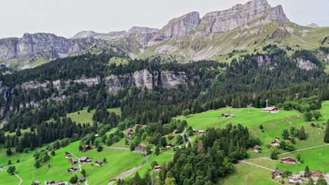 Plantaciones-Turísticas-De-Flora-De-Pino-Suizo-De-Braunwald-Glarnerland.