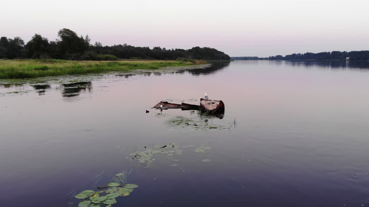 birds sit on rust wrecks of sunken vessel in water, orbiting shot