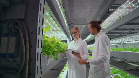 project manager - growing organic vegetables monitors the work of employees and polls the results of the harvest. camera follow the head