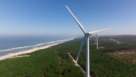 coastal wind farm