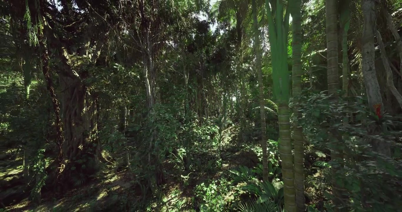 Alberi secolari di una foresta storica e imponente, che mostrano tronchi contorti