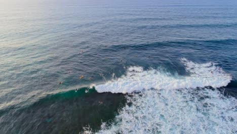 surfers surfing in the sea 4k