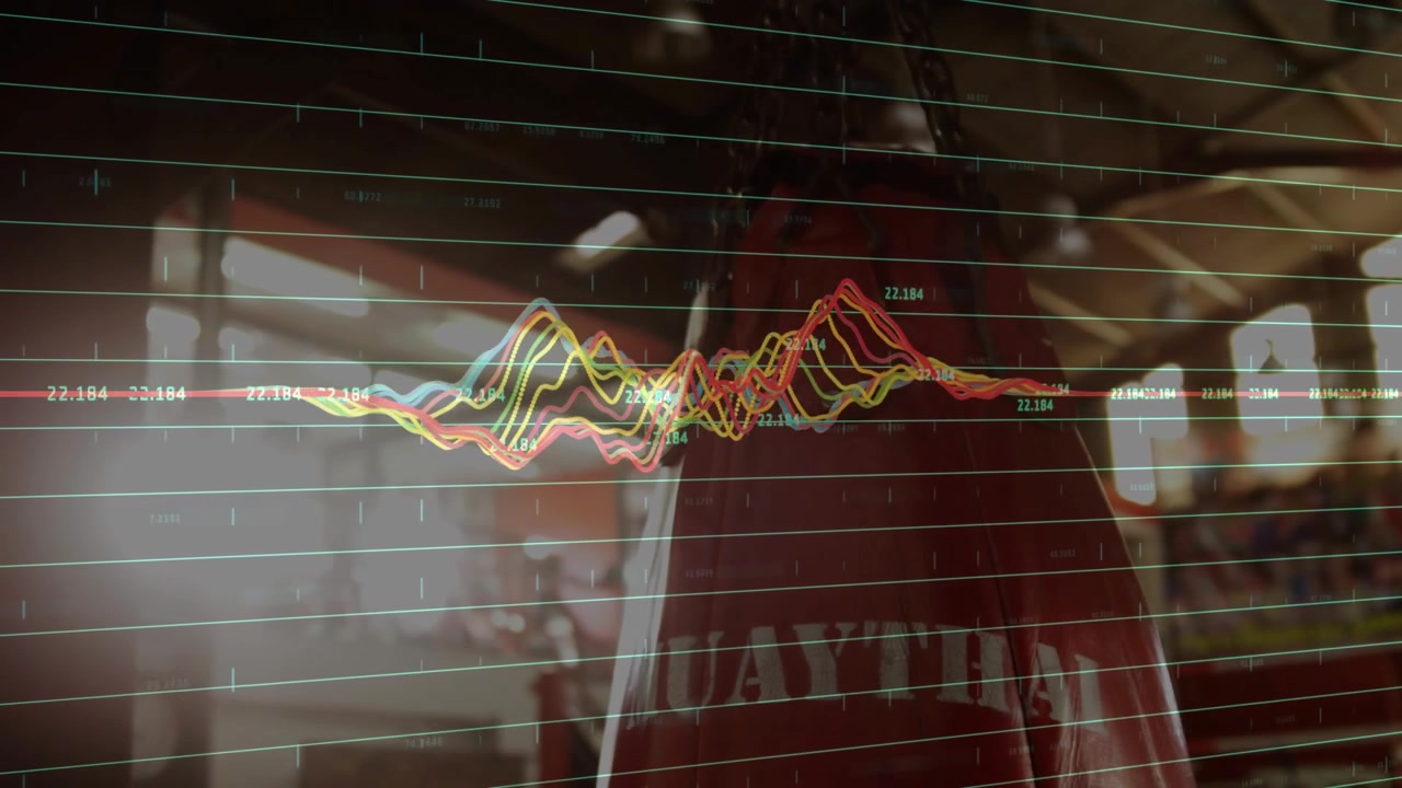 Initial pulse starting waveform growing and falling on grid beside MUAYTHAI, showing workout rhythm