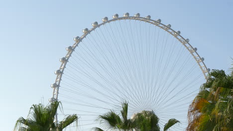 ain dubai