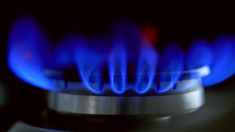 burning blue gas stove. detail of burning gas stove with blue flames