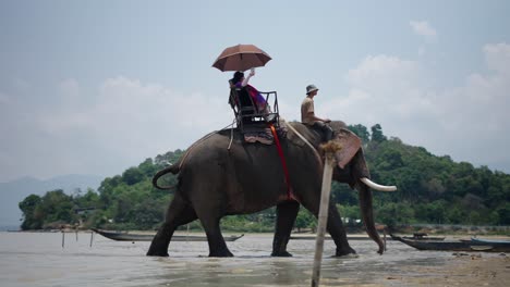 tourists riding an elephant in a lake