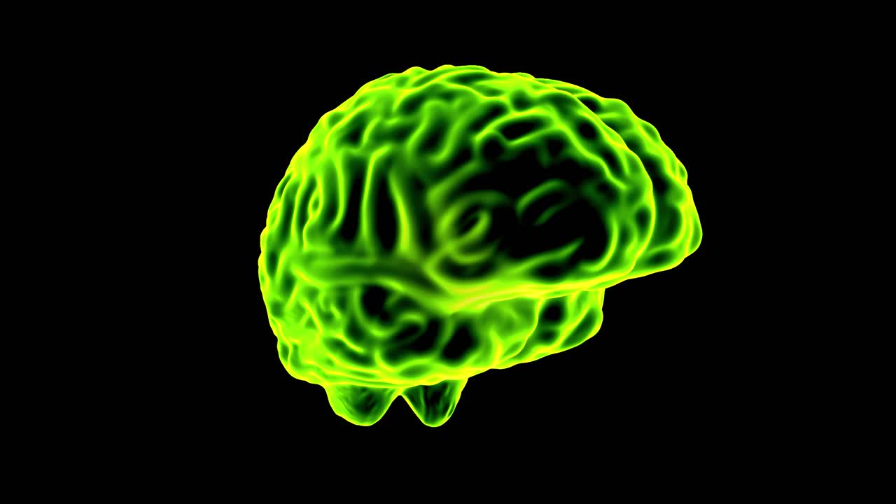 holograma cerebral de bucle giratorio 4k