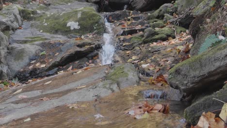 water flowing through rocks and autumn leaves in wissahickon