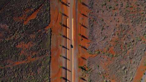arriba hacia abajo de la antena de conducción de automóviles a través de un carril de árboles en un campo remoto - paisaje rural con escasa vegetación y suciedad roja en lanai, hawaii