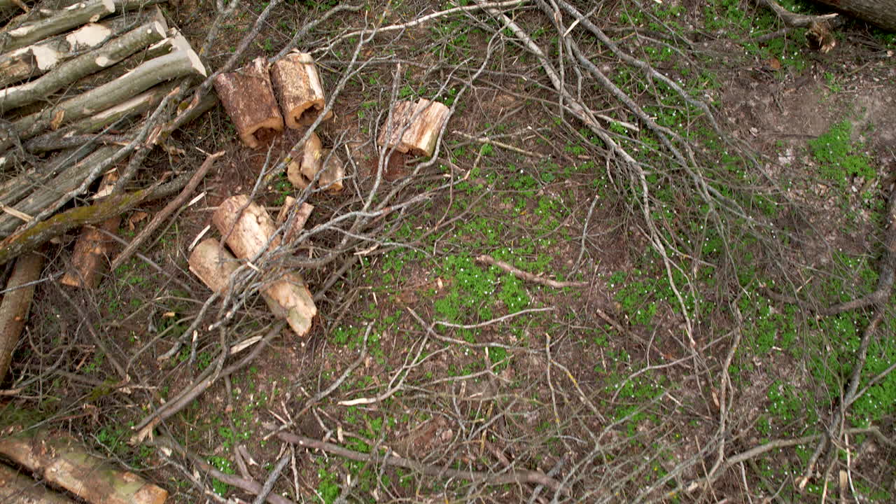 Disheartening aerial view of debris of deforestation in Poland