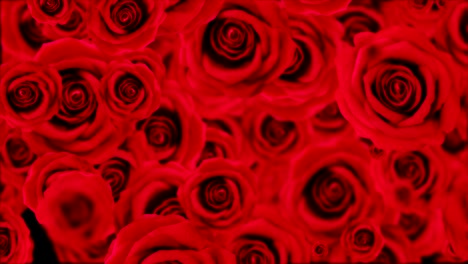 falling red roses seamless looping.