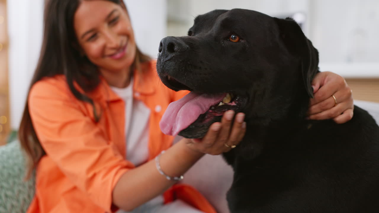 집 의 거실 소파 에 있는 여자, 개, 그리고 돌봄
