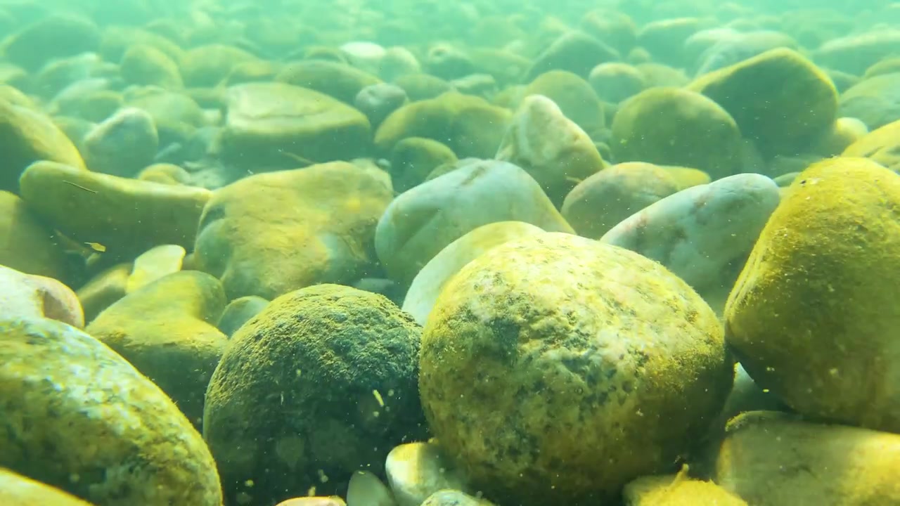 Água transparente de riacho subaquático fluindo suavemente por um leito rochoso de rio sob a luz do sol em Siant Martin, Bangladesh.