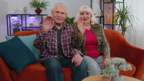 senior old man woman smiling friendly at camera, waving hands gesturing hello, hi, greeting at home