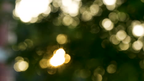 Bokeh-Effekt-Hintergrund-Des-Natürlichen-Sonnenlichts-In-Goldenen-Stunden