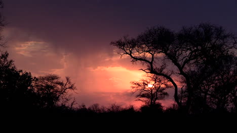 late afternoon thunderstorm, greater kruger. static. zoom out