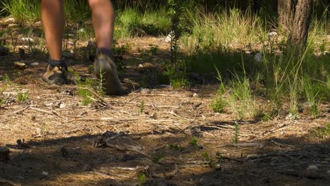 Man-in-hiking-shoes-walking-through-forest,-low-angle