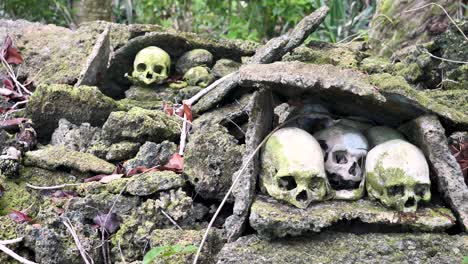 scull island, munda, solomon islands - headhunting — the practice of preserving the decapitated head of an enemy after he or she is killed - creepy-yet-fascinating ceremonial practice