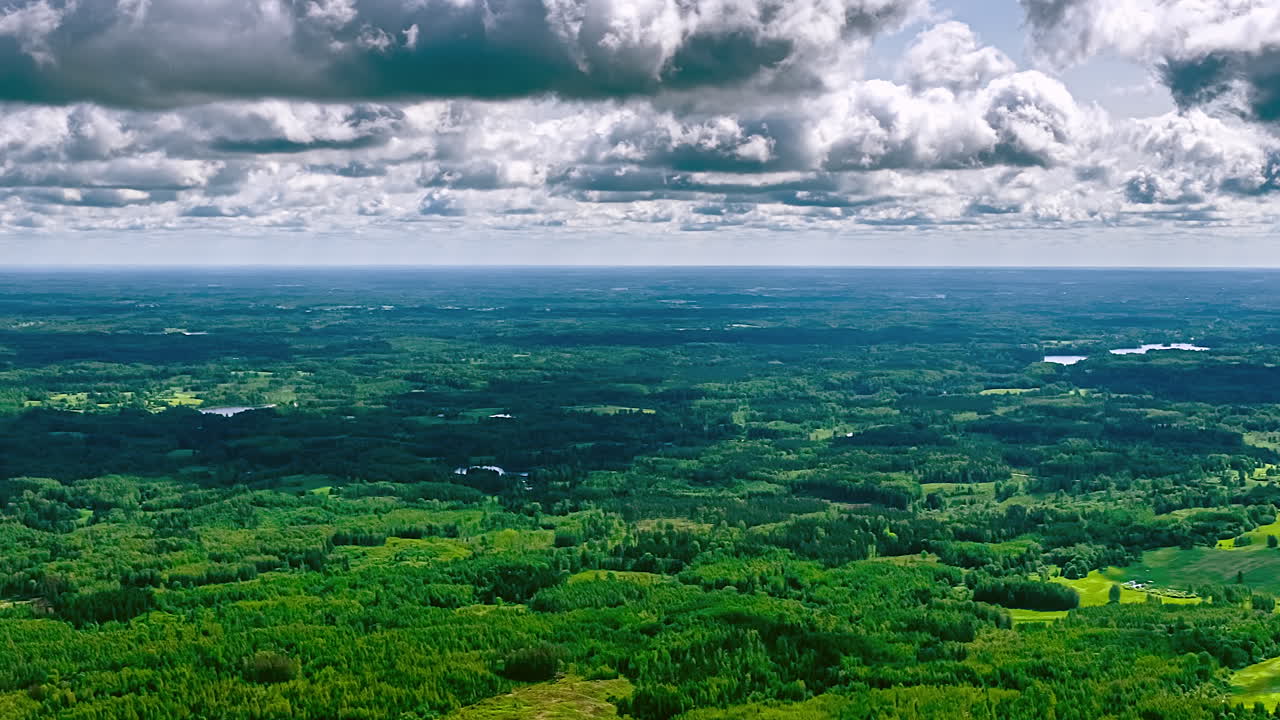 Evergreen Woodland With Cloud Shadow Over Kemeri National Park In Latvia. Timelapse