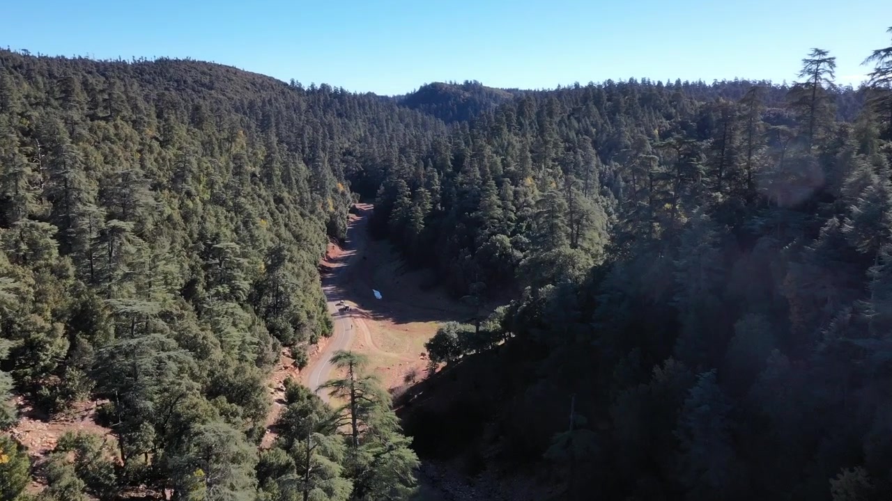 Volo cinematografico di drone aereo su una fitta foresta di cedri e un paesaggio montano nel Medio Atlante, Marocco, ideale per progetti di viaggio, natura e aree selvagge.