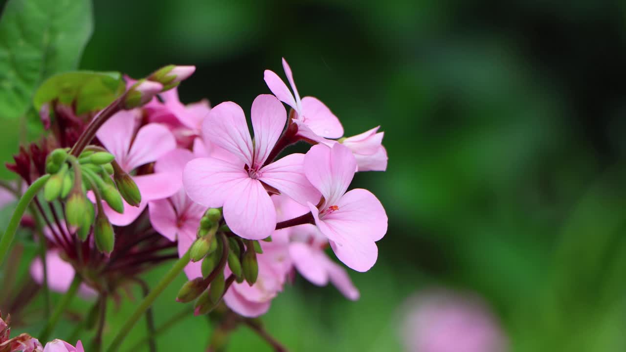 도쿄 최고의 전망