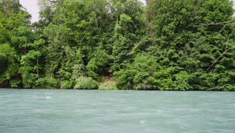 river with trees in background