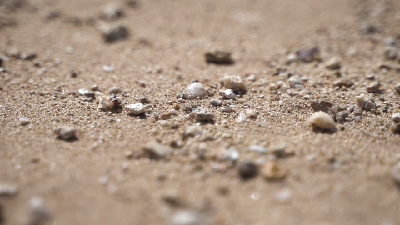 Pebbles washed ashore on the beach in Hawaii.
