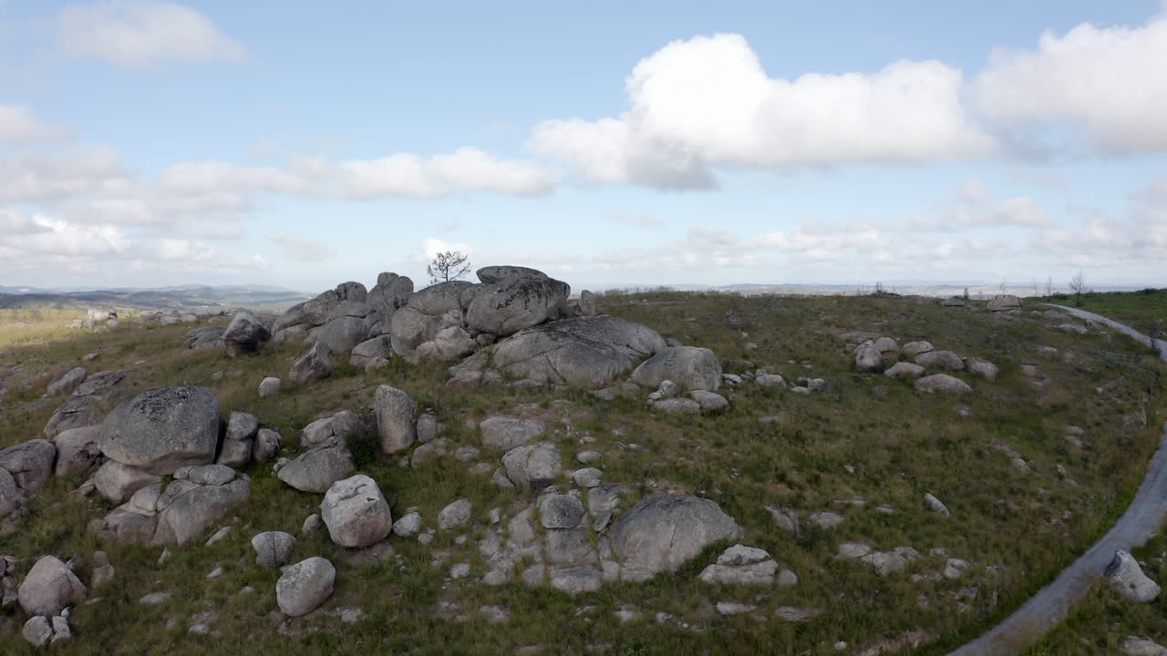 산 꼭대기에 있는 바위에 있는 나무