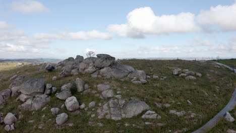 tree on a rock on the top of a mountain