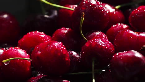 fresh, ripe, juicy cherries rotate. red cherry clockwise