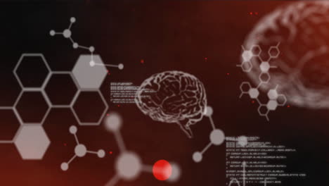 animación del procesamiento de datos sobre cerebros digitales sobre fondo rojo