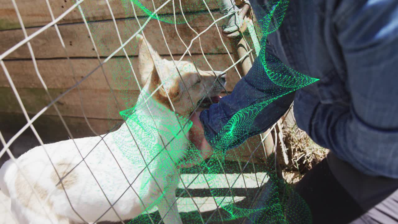 Woman pulling mesh aside and offering treat through fence, scratching dog's chin for pet care