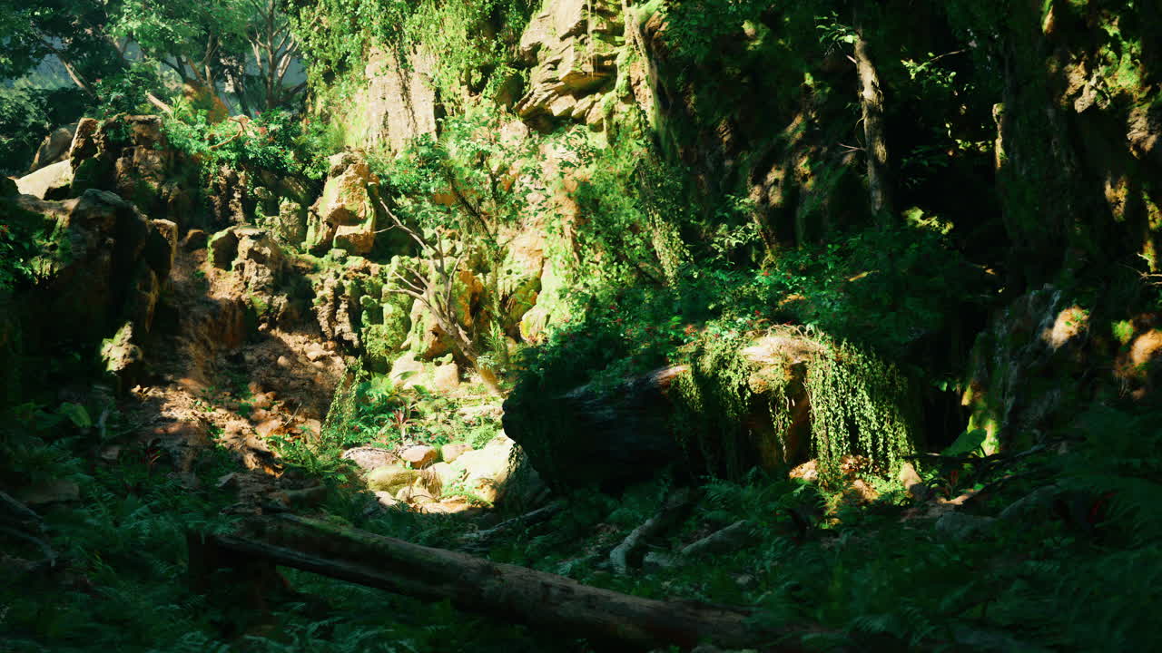 울창한 정글 숲