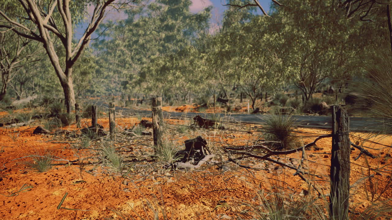 오렌지색 땅과 울불한 식물이 특징인 활기찬 오스트레일리아 풍경