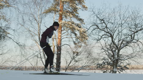 woman cross-country skiing in winter landscape