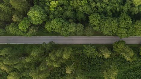 Un-Automóvil-De-Pasajeros-Blanco-Conduce-Por-Una-Calle-En-Un-Bosque-Verde,-Imágenes-De-Drones-De-Primera-Toma